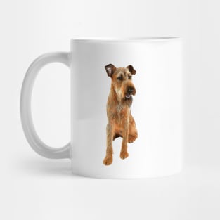 Irish Terrier Beauty Mug